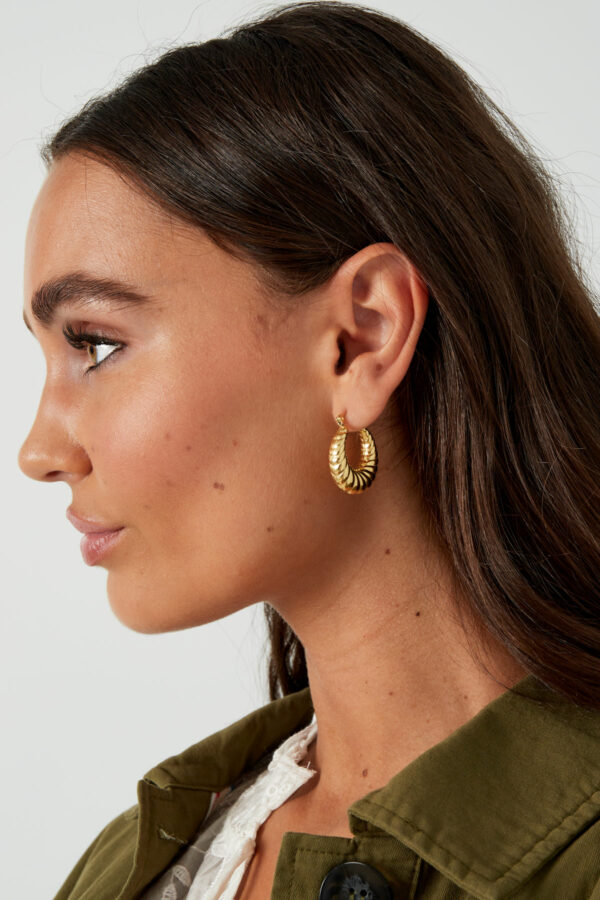 Aesthetic Twisted Hoops