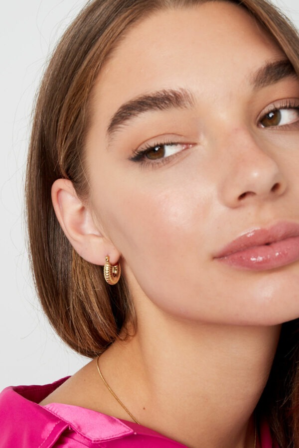 Aesthetic Small Hoops