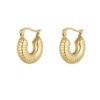 Aesthetic Small Hoops